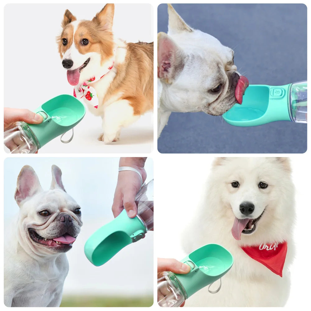 Portable Leakproof Dog Water Bottle for Walks and Travel