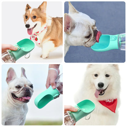 Portable Leakproof Dog Water Bottle for Walks and Travel